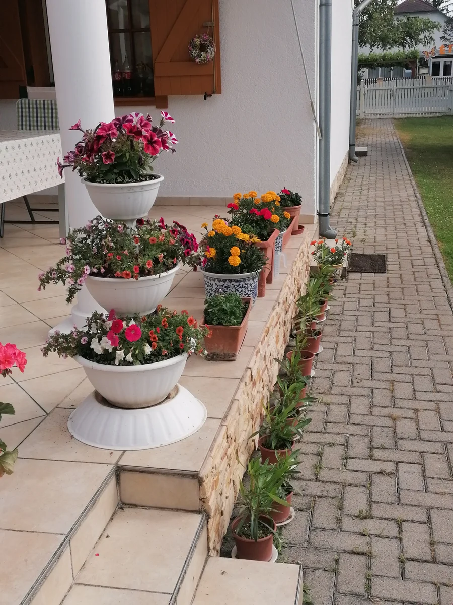 Ausstattung der Unterkunft